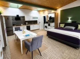 Apartment 202