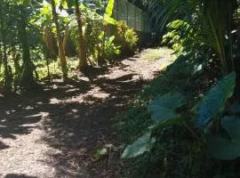 Camping Nature Bora