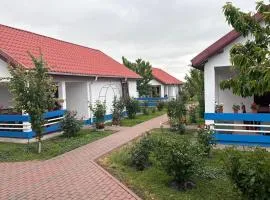 Pensiunea Delta Crisan Flamingo