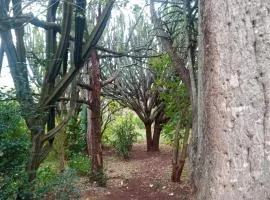 Ethlathini Rest Camp
