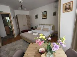 Apartments Dragulji Kruševac Central Stay