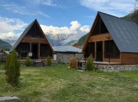 Twenty 23 Cottages,Kazbegi