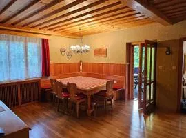 Ferienhaus Teichalm