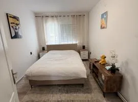 Modern Cozy Apartment Lola