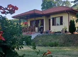 Nature escape cottage