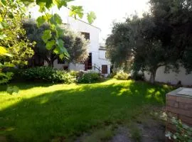 Casa Zolesiop