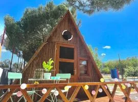 Ioannina Camping- Glamping