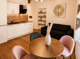 Cosy appartment in old town, 2 mins walking distance to lake
