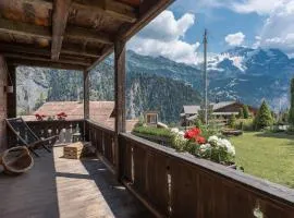 Mountain View Chalet near Lauterbrunnen and Parking