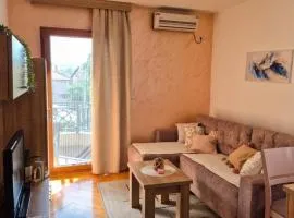Apartman Tomić Vrnjacka Banja