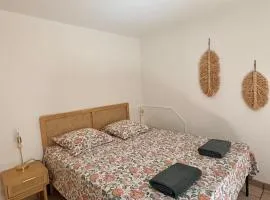 L'Auque l Charmant Appartement en Rez-de-Chaussée l Proche Place Soult