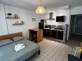 Studio lumineux avec grande terrasse