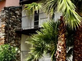 The Palm House Bellinzona