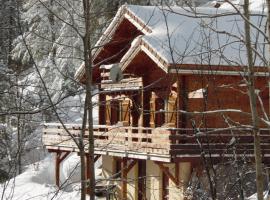 Appartement Col de la Faucille, apartmen di Mijoux