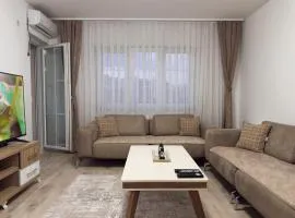 Story Apartment 3 In the Heart of the City