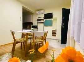 Apartament Family Jura Żarki