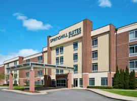 Springhill Suites by Marriott Detroit Metro Airport Romulus, hotel in Romulus