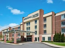 Springhill Suites by Marriott Detroit Metro Airport Romulus