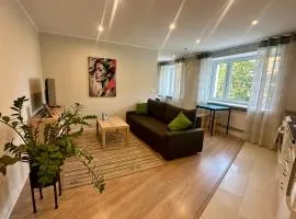 Central Location Apartment with Wide Bath