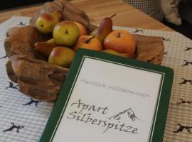 Apart Silberspitze, hotel v destinaci Zams