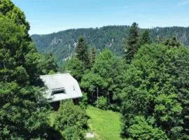 Historisches Schwarzwald-Märchenhaus in Alleinlage