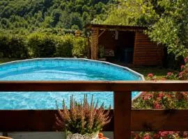 Rodzinny zakątek - Bieszczady - Jacuzzi - Basen