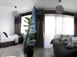 Magnetic Studio Odkryta, apartment in Warsaw