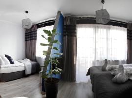 Magnetic Studio Odkryta, apartman u Varšavi