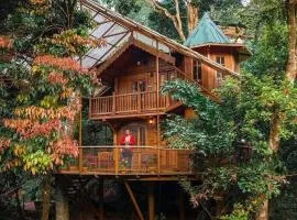 Forestvalley