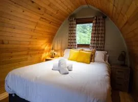 Revive Wellness Pods
