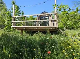 Tiny House De Skierroek