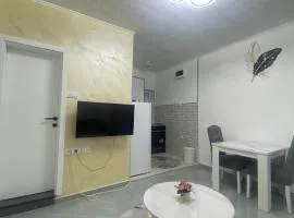 Apartmani Vesna