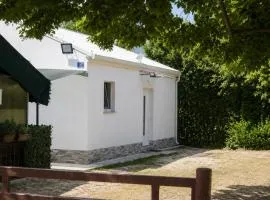 SAVUDRIJA Alberi