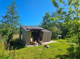 Tiny House De Skries, Hotel in Westergeest