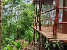 The Forest Cabin
