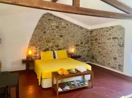 Casa Arvora