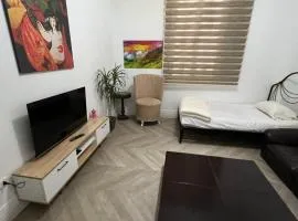 Lafayette Apartment