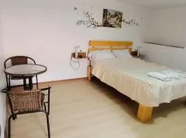 CASA Anais y Nicolas