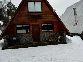 Cabañas Familiares Camino a Termas de Chillán