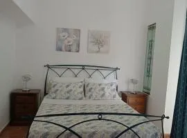 DIMA House