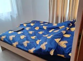 M44 Bright Apartman