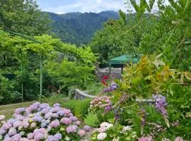 Villa Borjomi