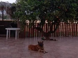 La casa de los abuelos