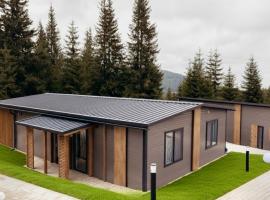 Nivalis Resort and SPA, Private Mountain Chalets with Selected Private Outdoor Hot Tubs, BBQ Area, hotel i Muntele Băişorii