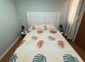 Departamento en frente de Mendoza Plaza Shopping