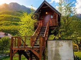 TreeHouse Experience