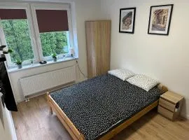 Pokoje w Nowosolnej 2