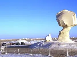 White Desert camping with hotel room after camp