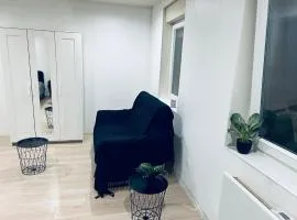 Le paisible à Strasbourg