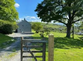 Bryn y Gog Tregaron